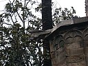 dscn6901.jpg