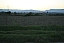 IMG_5541.JPG