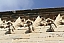 IMG_5722.JPG
